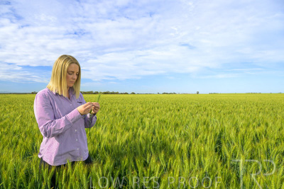 October 2022 / KANGAROO-FLAT-0548