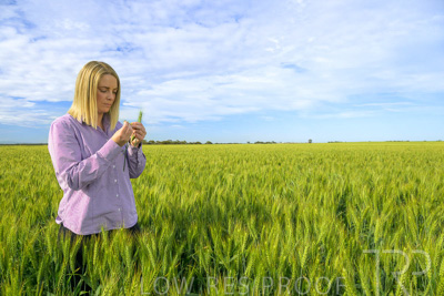 October 2022 / KANGAROO-FLAT-0550