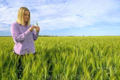 October 2022 / KANGAROO-FLAT-0551