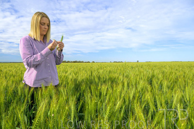 October 2022 / KANGAROO-FLAT-0552