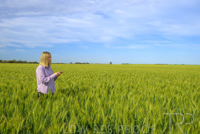 October 2022 / KANGAROO-FLAT-0560