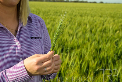 October 2022 / KANGAROO-FLAT-0565