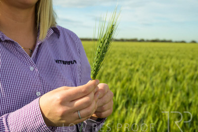 October 2022 / KANGAROO-FLAT-0567