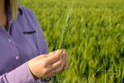 October 2022 / KANGAROO-FLAT-0568