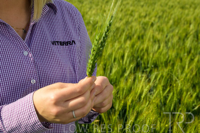 October 2022 / KANGAROO-FLAT-0569