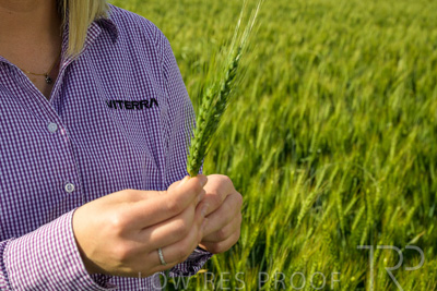 October 2022 / KANGAROO-FLAT-0570