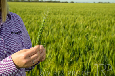 October 2022 / KANGAROO-FLAT-0573