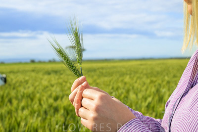 October 2022 / KANGAROO-FLAT-0577