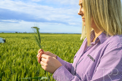 October 2022 / KANGAROO-FLAT-0579