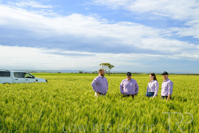 October 2022 / KANGAROO-FLAT-0595