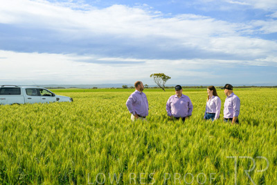 October 2022 / KANGAROO-FLAT-0596