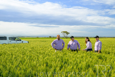 October 2022 / KANGAROO-FLAT-0599