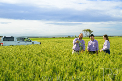 October 2022 / KANGAROO-FLAT-0604