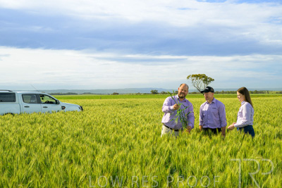 October 2022 / KANGAROO-FLAT-0605