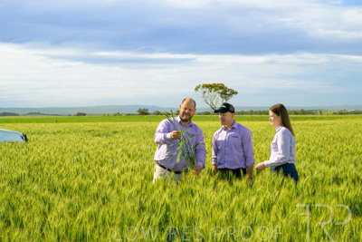 October 2022 / KANGAROO-FLAT-0606