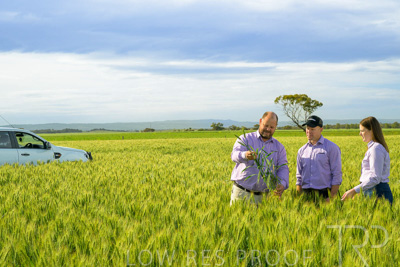 October 2022 / KANGAROO-FLAT-0607