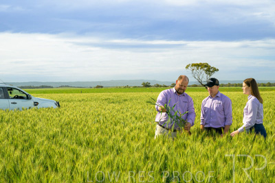 October 2022 / KANGAROO-FLAT-0608