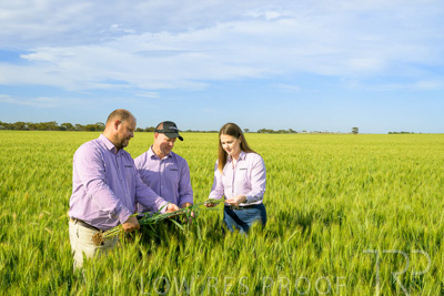 October 2022 / KANGAROO-FLAT-0609