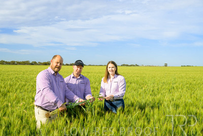 October 2022 / KANGAROO-FLAT-0610