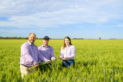 October 2022 / KANGAROO-FLAT-0611