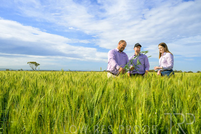 October 2022 / KANGAROO-FLAT-0612