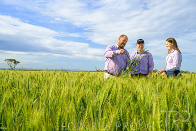 October 2022 / KANGAROO-FLAT-0613