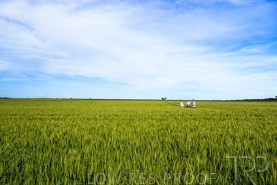 October 2022 / KANGAROO-FLAT-0617