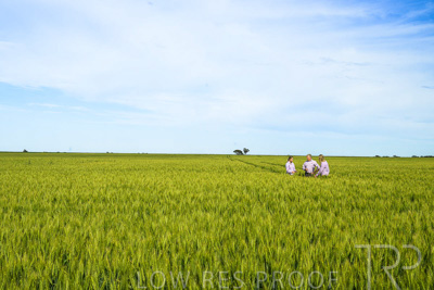 October 2022 / KANGAROO-FLAT-0619