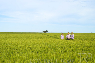 October 2022 / KANGAROO-FLAT-0620