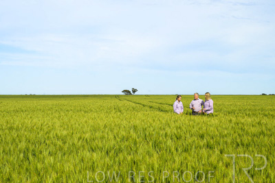 October 2022 / KANGAROO-FLAT-0622