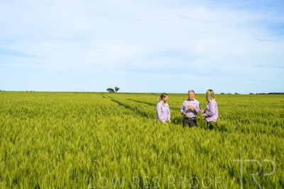 October 2022 / KANGAROO-FLAT-0623