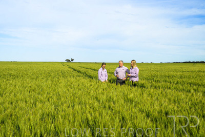 October 2022 / KANGAROO-FLAT-0624