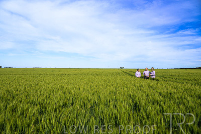 October 2022 / KANGAROO-FLAT-0630