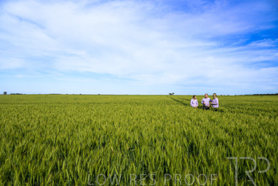 October 2022 / KANGAROO-FLAT-0631