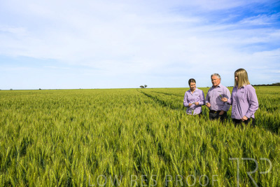 October 2022 / KANGAROO-FLAT-0633