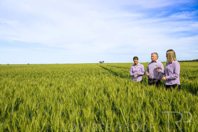 October 2022 / KANGAROO-FLAT-0634