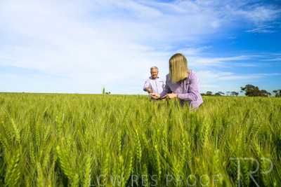 October 2022 / KANGAROO-FLAT-0646