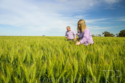 October 2022 / KANGAROO-FLAT-0652