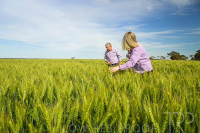 October 2022 / KANGAROO-FLAT-0653