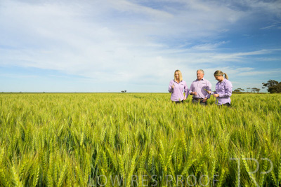 October 2022 / KANGAROO-FLAT-0659