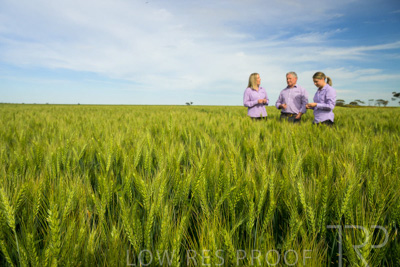 October 2022 / KANGAROO-FLAT-0663