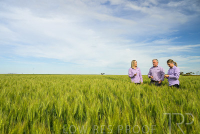 October 2022 / KANGAROO-FLAT-0665