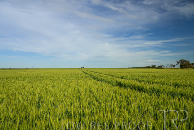 October 2022 / KANGAROO-FLAT-0671