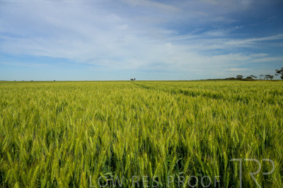 October 2022 / KANGAROO-FLAT-0672