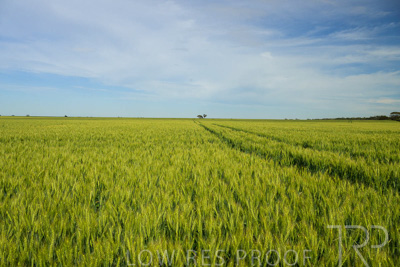 October 2022 / KANGAROO-FLAT-0675