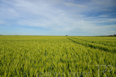 October 2022 / KANGAROO-FLAT-0676