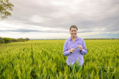 October 2022 / KANGAROO-FLAT-0702