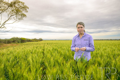 October 2022 / KANGAROO-FLAT-0704