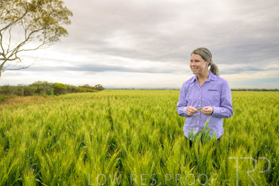 October 2022 / KANGAROO-FLAT-0711