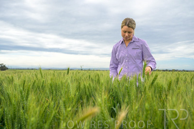 October 2022 / KANGAROO-FLAT-0721